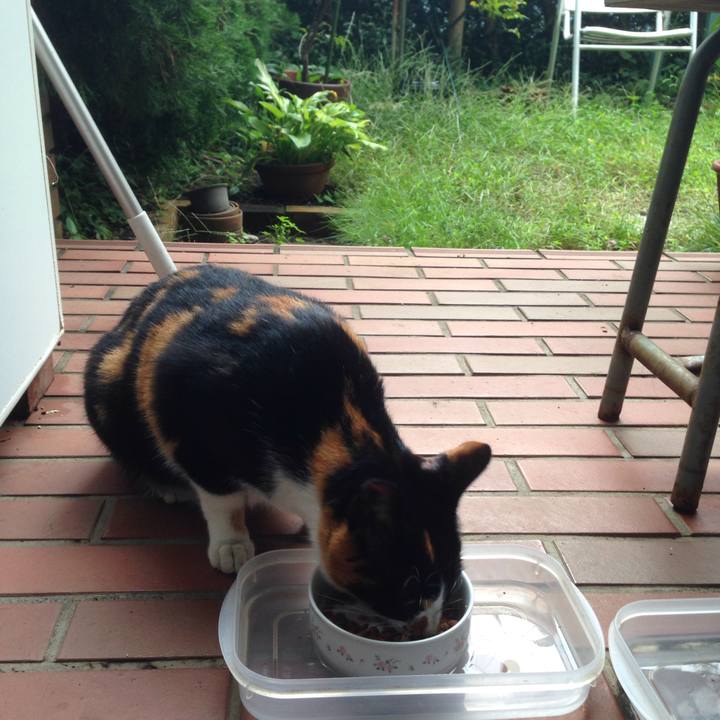 7aa383bf c5c7 4c5a 8d32 40526b67326c