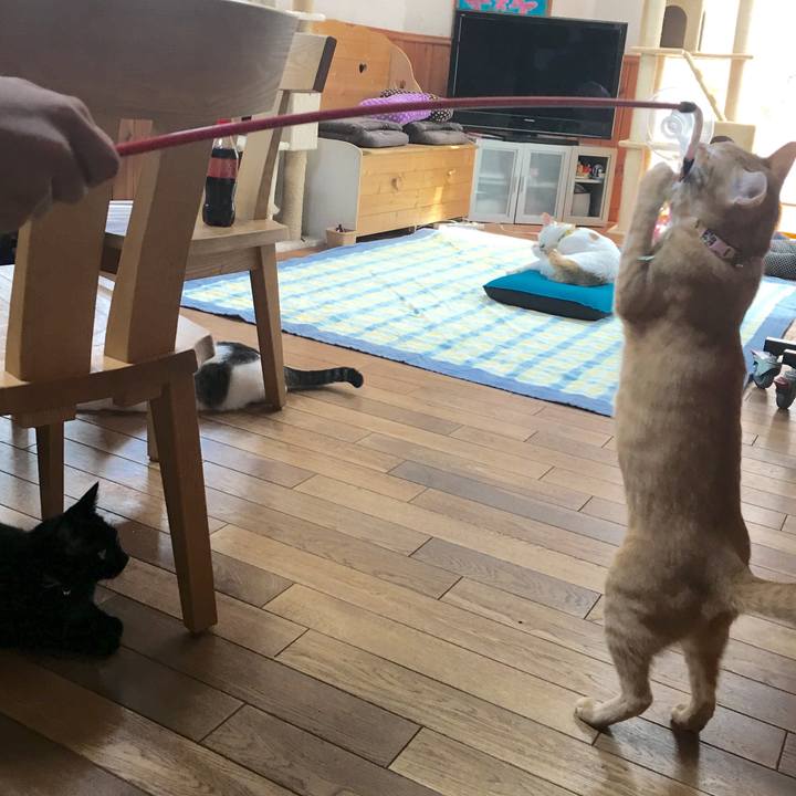 7aa41835 b777 40d9 9213 635802bf9a2a