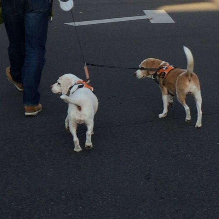 7aa43070 f58b 4cb8 bb12 8b0bb14670d3