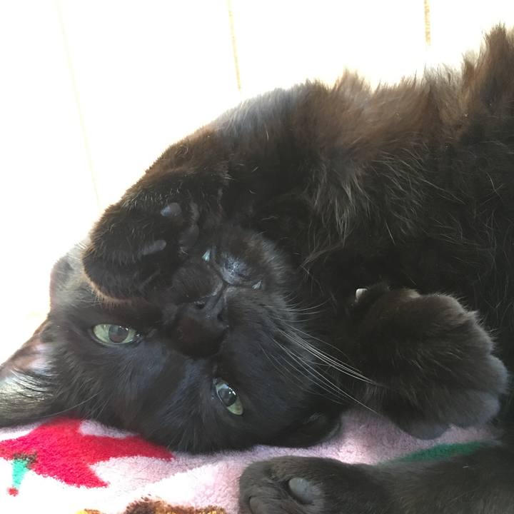 7aa4c6f5 f9b9 487f a47b 3f4a69f8192e