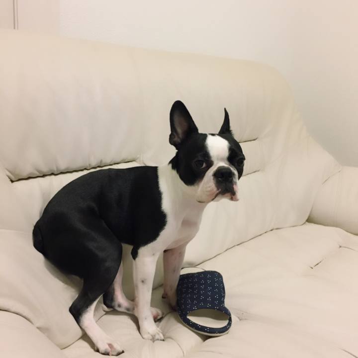 7aa4cf03 c2bf 4fe1 9cab 1eb3a8c4bfc8