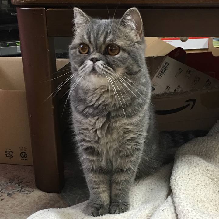 7aa57aa4 436f 4a89 b037 aa53529b891f