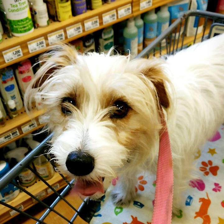 7aa592b0 dec1 4c9f 942c 14a24a211802