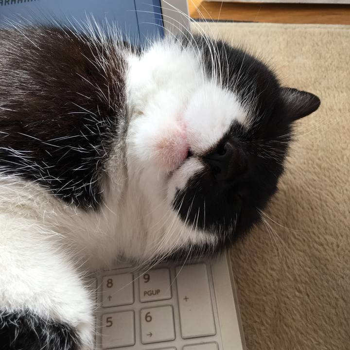 7aa5d0a7 7821 4d36 a9b4 c5120e5ce40a