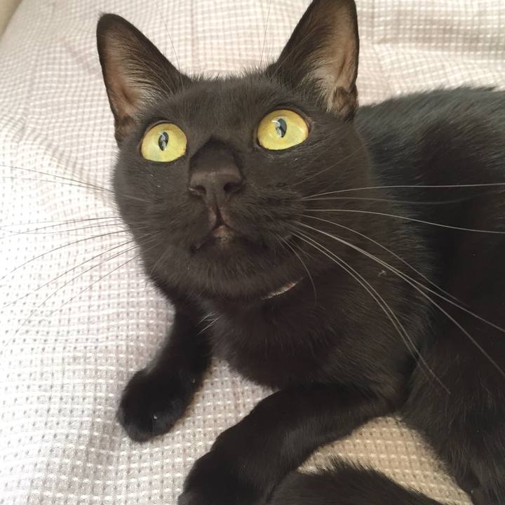 7aa5e103 4f0a 42f5 8693 8004cce476f8