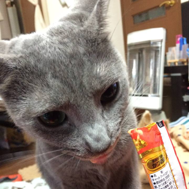 7aa61e9d befd 448b 81ab 630bb171b8ab