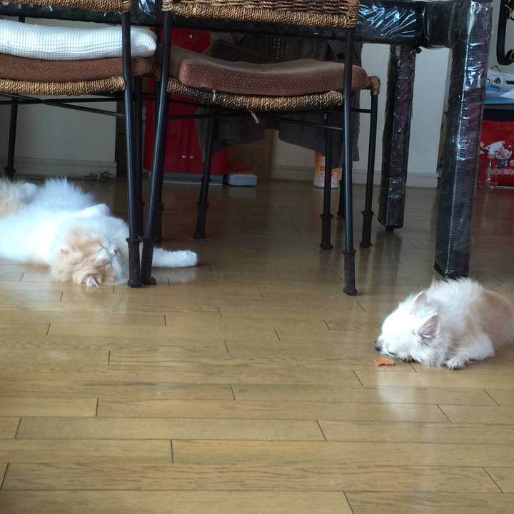 7aa73864 0a5d 4dd8 8104 e6d91299c109