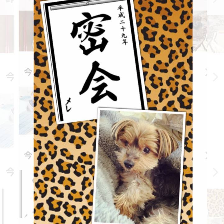 7aa7568c 23d7 4e0e 80e2 46395512019f