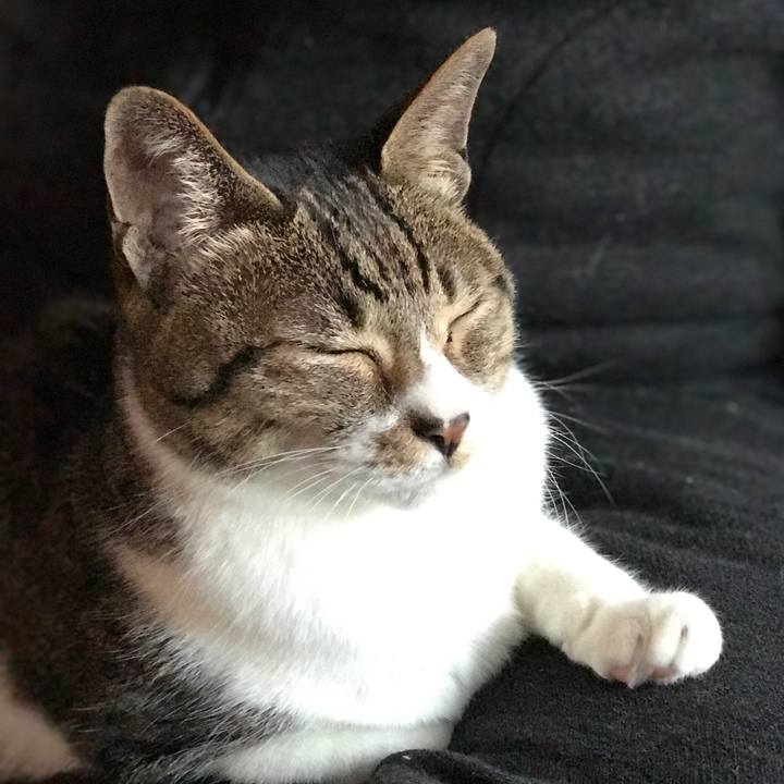 7aa7bc28 d24e 47f4 a34d c6dcec6b11fd