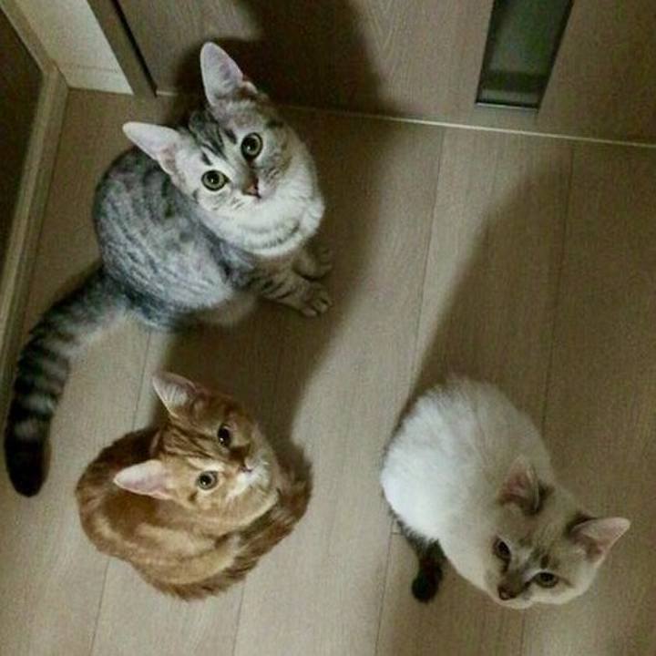 7aa86358 aea1 4a95 a376 3c6e4548db47