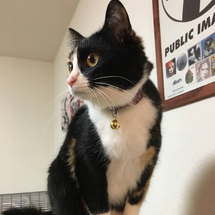 7aa878b9 9192 484b 870b a371e2b49b20