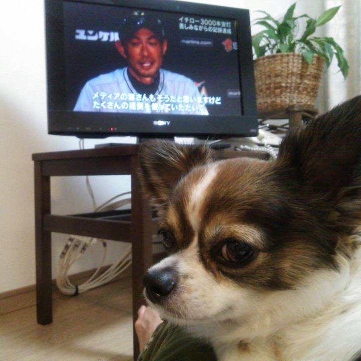 7aab1f9a db90 4039 bc5a 3562702fca47