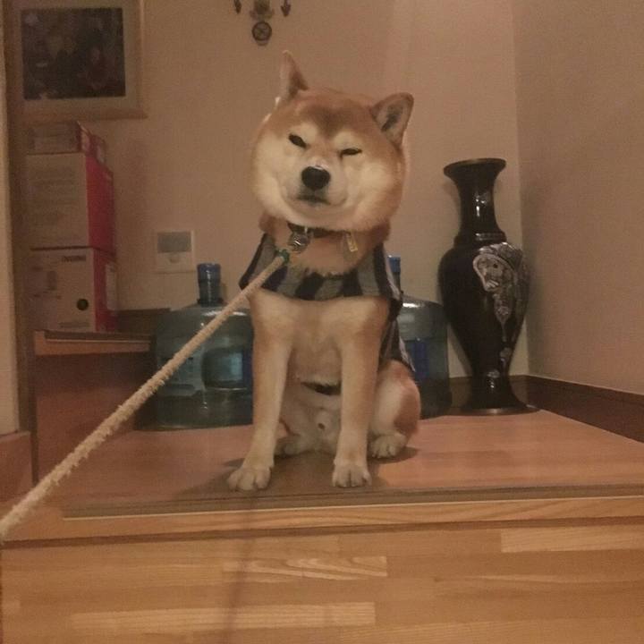 7aab95ea cf88 46c1 9f06 dc116213803d