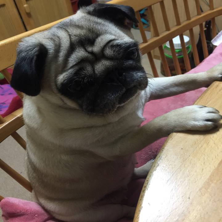 7aac2637 81c4 4329 950a ba447122caa2