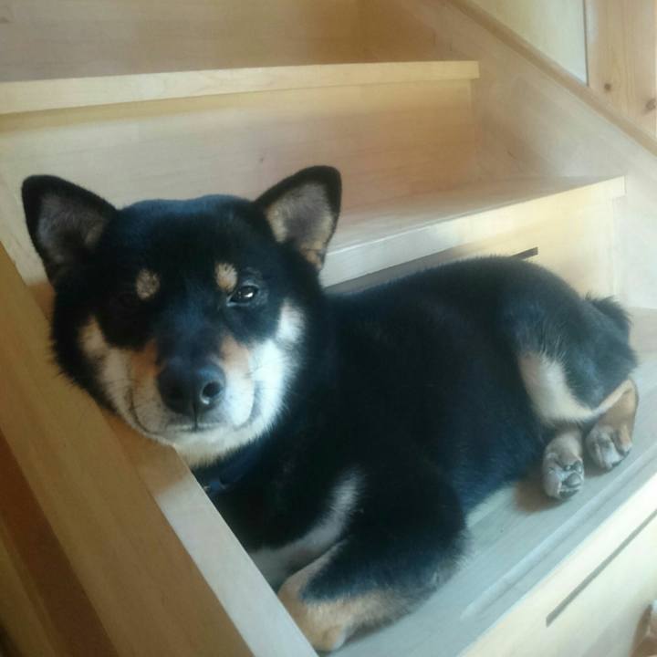 7aac2c50 948e 47bf 82a2 b4f0b6a56303