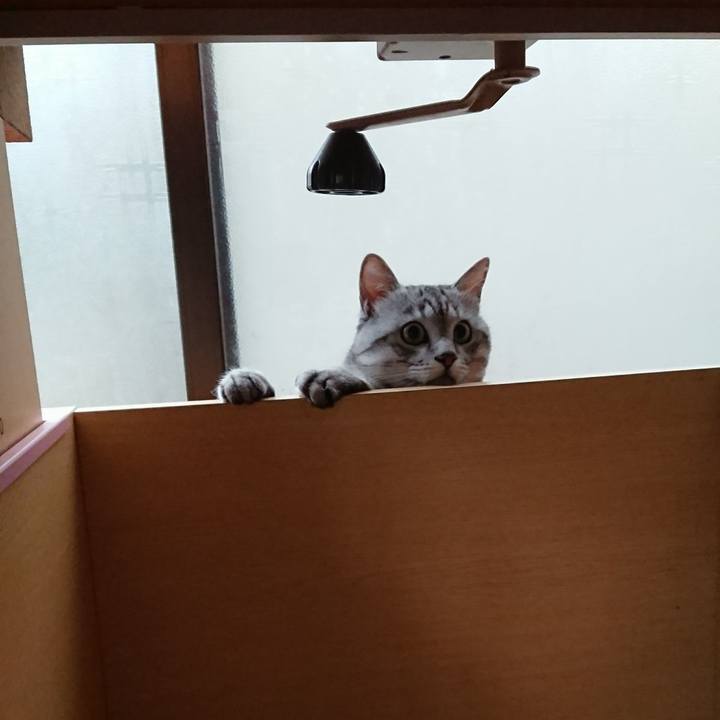 7aad7d5d 6527 4d8d 8a4f ddb129b2e06b