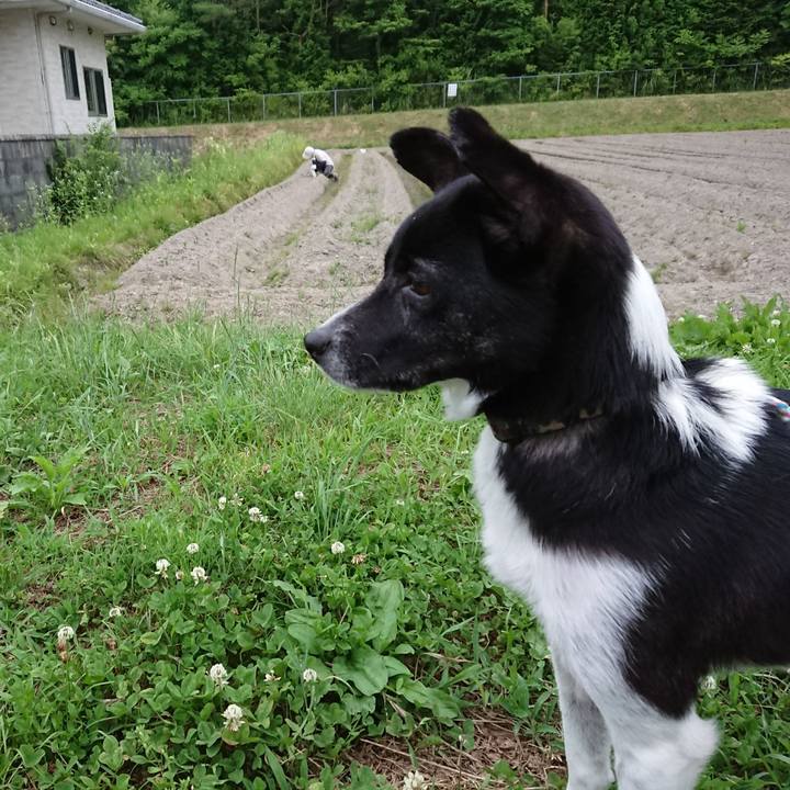 7aadd587 64e1 4f9f 9cad 0e37e1ceba3a