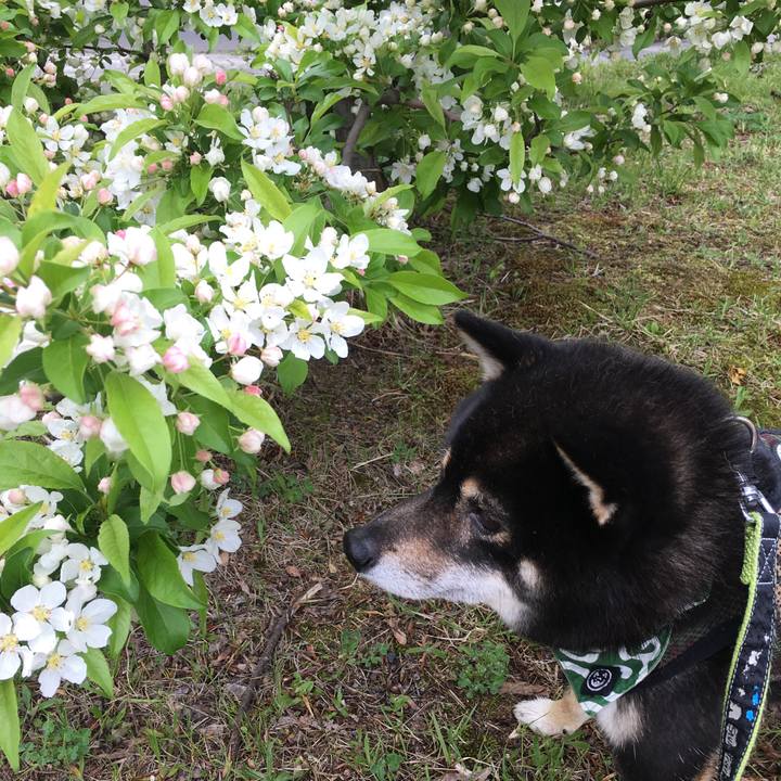 7aaea8a2 79e4 4bdb 8455 78b54b33f6c3