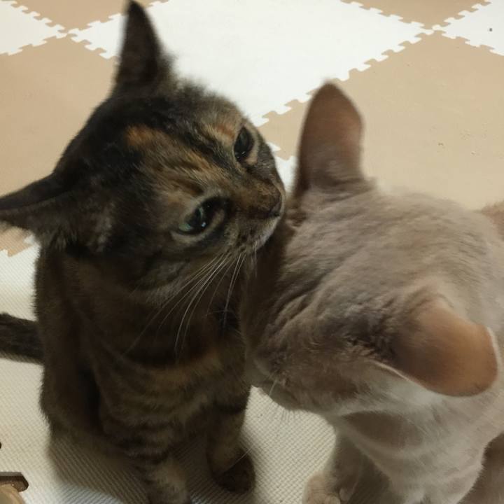 7aaeb62f b1f9 443c 9677 d54bbb1da8d1