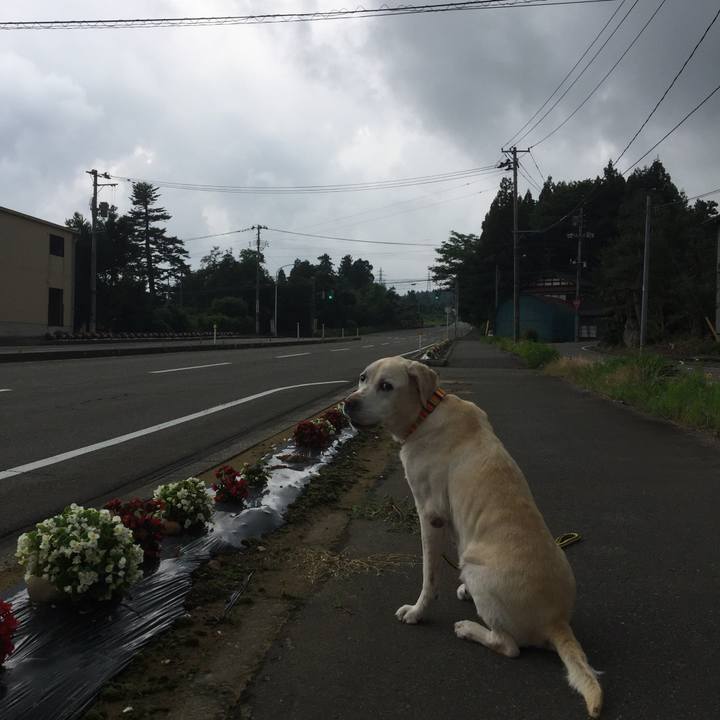 7aaee071 92f5 4813 a329 337fb34a91c6