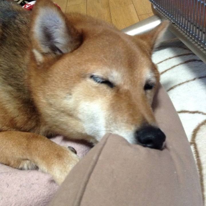 7aaf149d 7e8d 4b38 a530 7c64cc53ca07