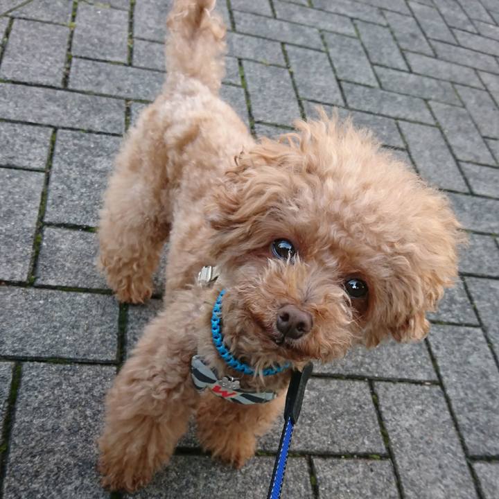 7aafb3ad 9a28 4177 9413 c7bf193a113e