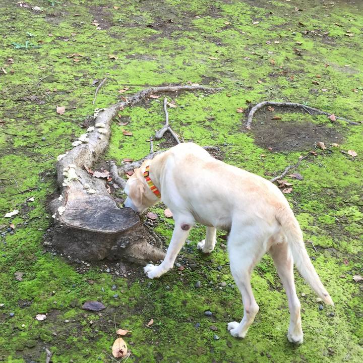 7aafb950 a88c 4dbe 8ea6 8adeb6523950