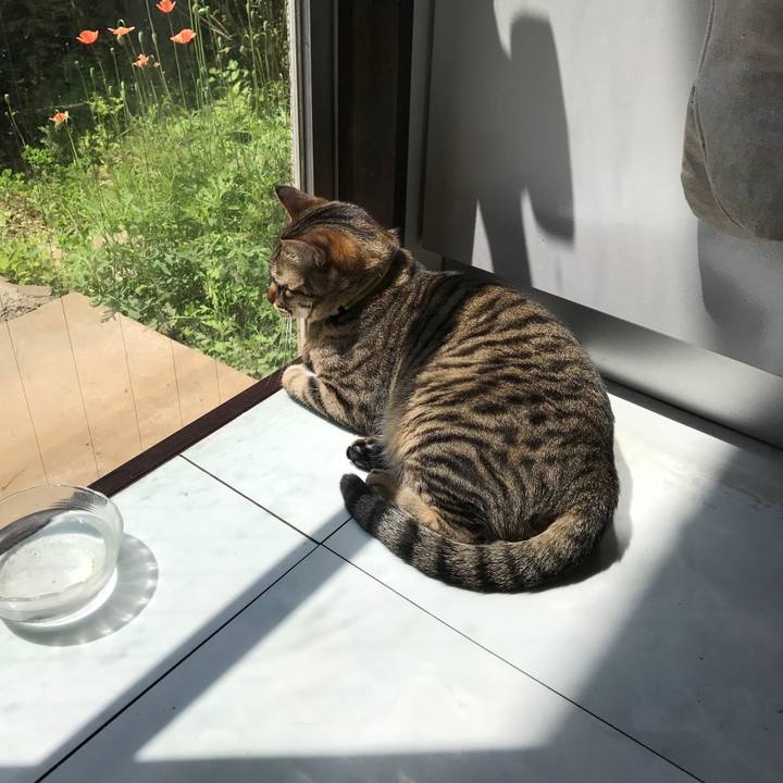 7aafe221 5b3b 47b1 8437 a01d49901c05