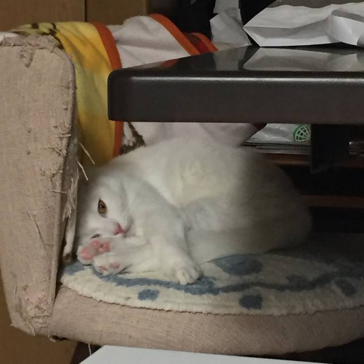 7ab06491 cb99 4c86 a1ab aa6f7b6f4fc9