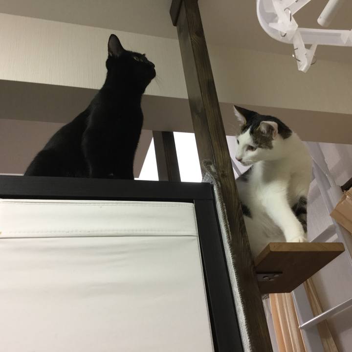 7ab1ef44 aa0f 4dce ba5b 7e03f2f6ae38