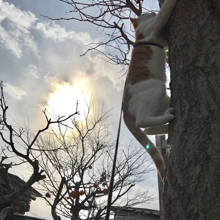 7ab1f5af 7d54 4f31 96e4 17e2f2e3ce6a