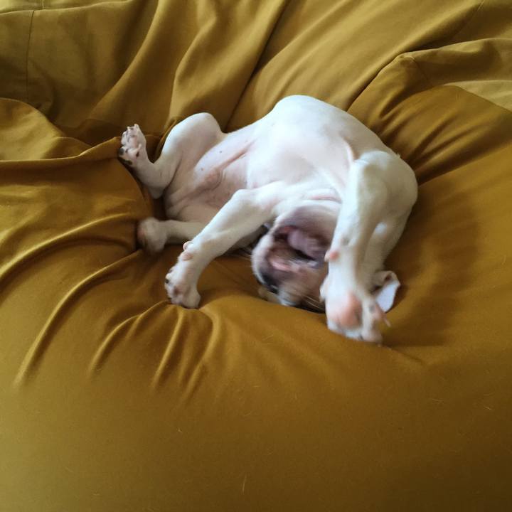 7ab21244 fbd9 4dd5 a2e7 f8a732c4bdae