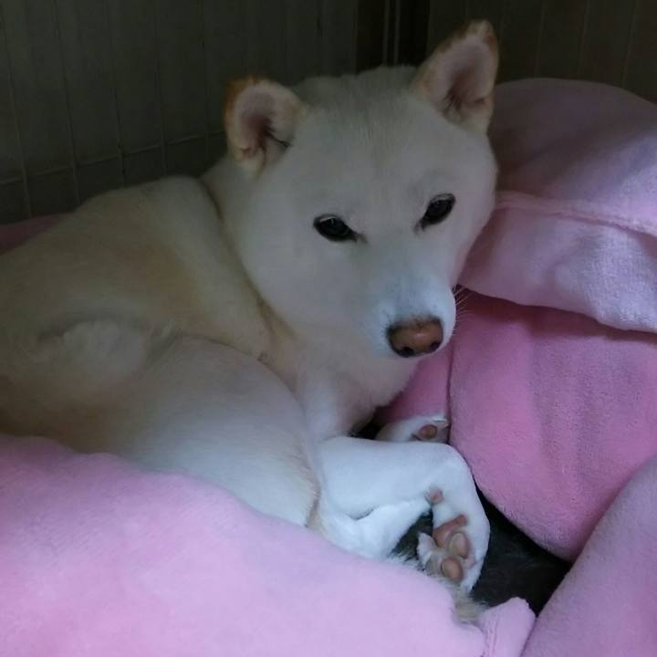 7ab27ae1 ae32 446f a2f5 b52c4f0f23da