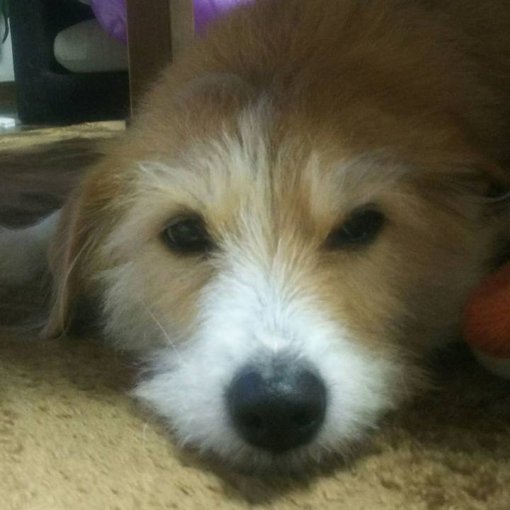 7ab27ff1 d68e 4f43 ae0e 22aa9a3dec66