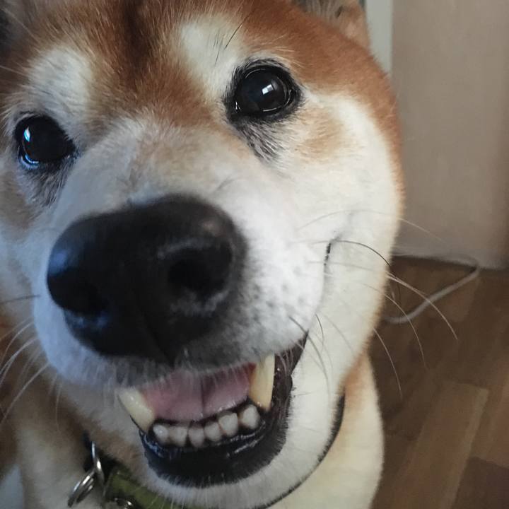 7ab29c31 e5be 4b73 a773 69f7b34499f8