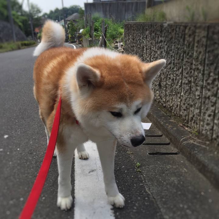 7ab2cd35 ed6e 4f93 ad97 a2710ceebbb9