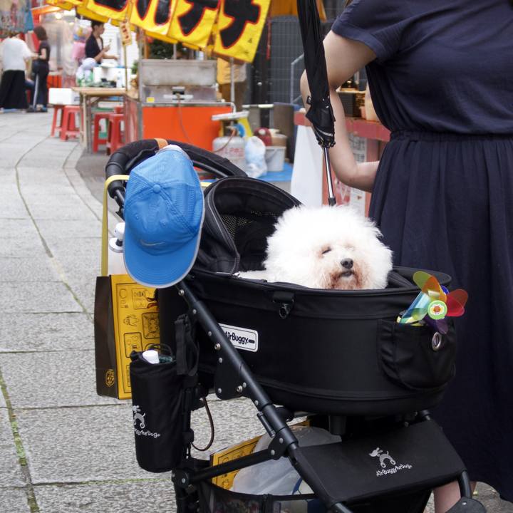 7ab2e345 5eb8 461b 9b99 21feb82a8049