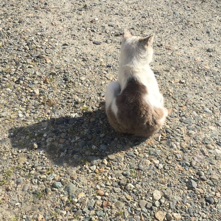 7ab4022f 33f1 4a77 990e 386ee211ac88