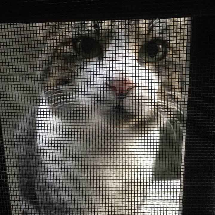 7ab44bfe 7dc3 47ac ad5a ddeca1e8d1bf