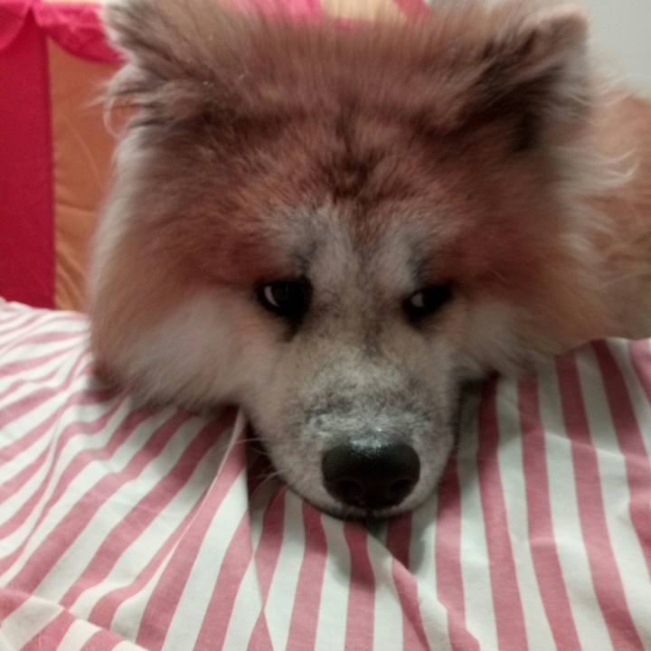 7ab4ae78 7b80 45b4 9e1e d2290c0834f7