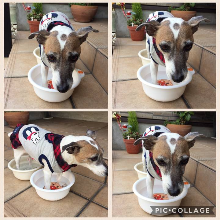 7ab4b978 e103 4613 8132 5b14947e10dd