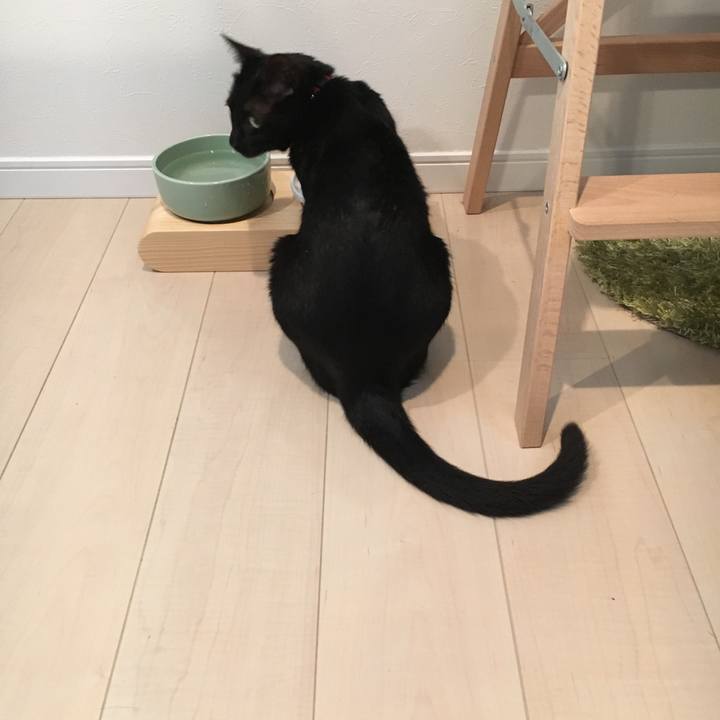 7ab54746 872c 45e5 ac76 9bb73520b84a