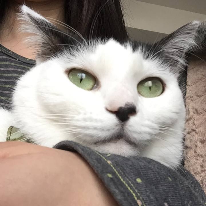 7ab5ef93 733c 470e b1ea eda4d4e24818