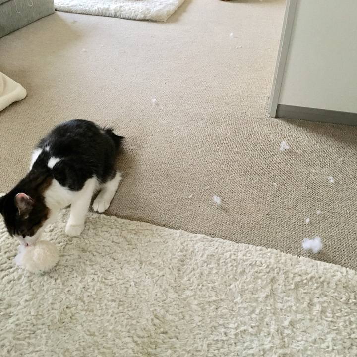 7ab5f0f1 3f1b 4ccf 845a 7fc7468dd15d