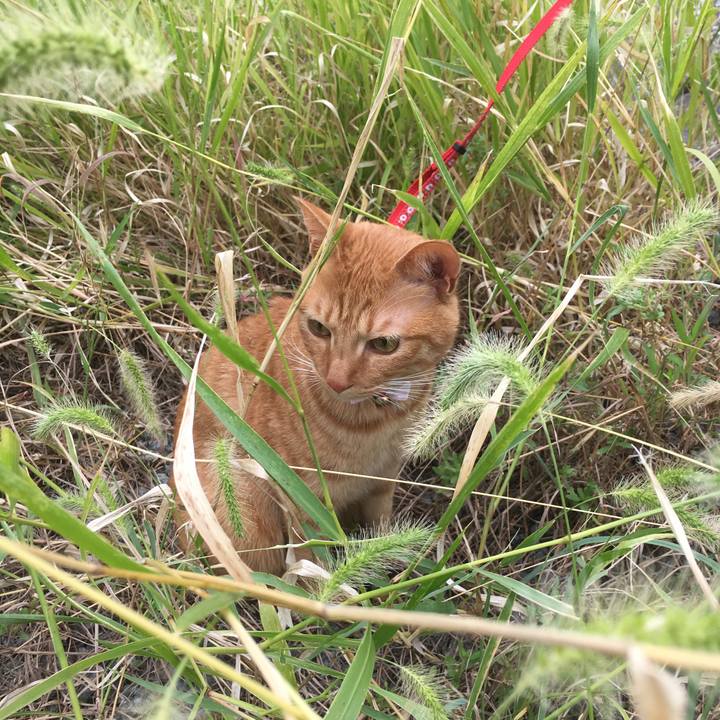 7ab6a8c9 6b1f 43b2 baf6 6466d9072fac