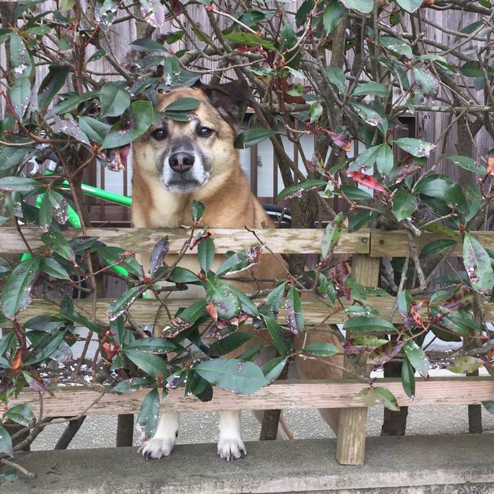 7ab6ab6d 8ebb 4ba4 a17e cbc19fba0c7c