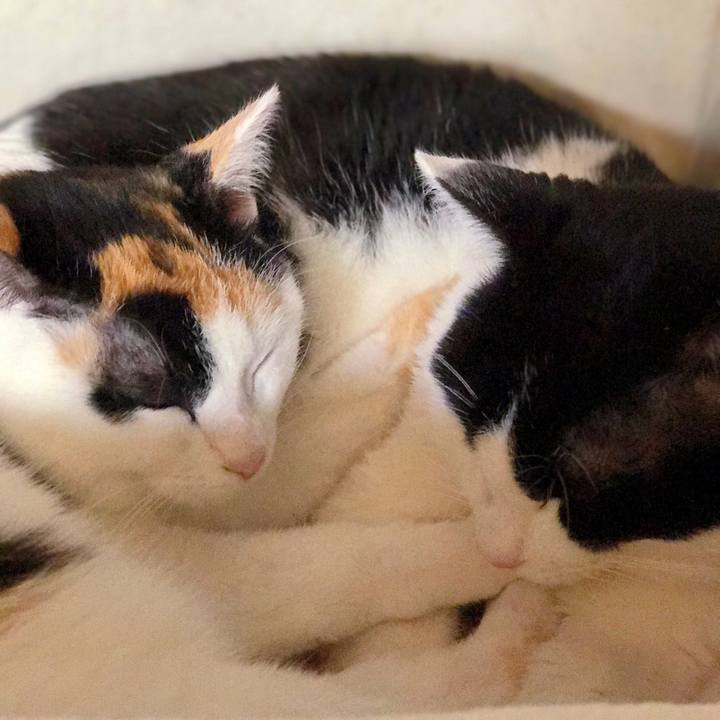 7ab7766b c52d 43ec a808 617cbdbb204a