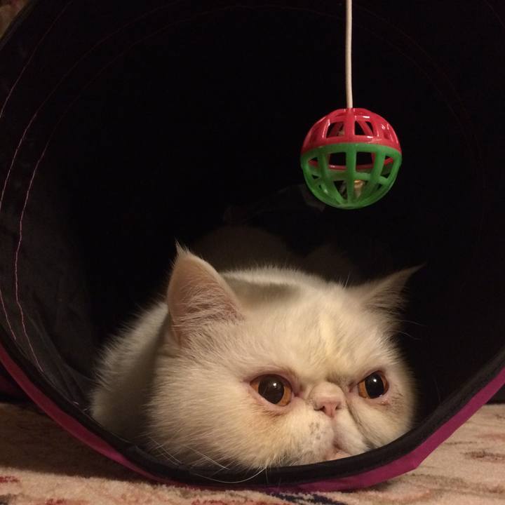 7ab79cc1 6a24 4032 bace 241c7fed863b