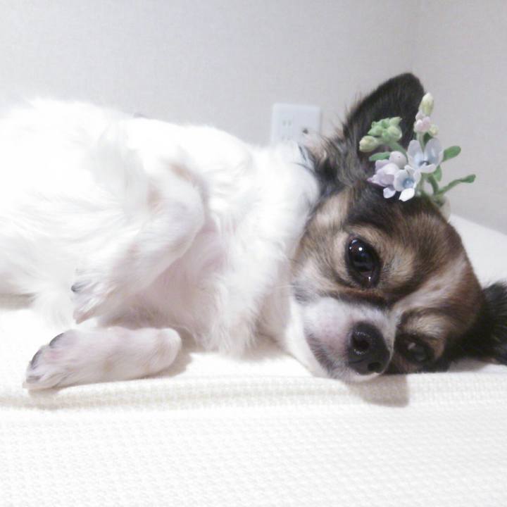 7ab7dda1 7a93 4e76 a14f 4dd148bdaaa1