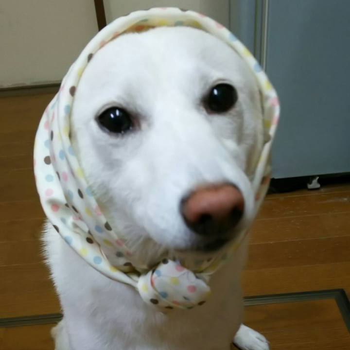 7ab7f196 5a5c 42ab a163 f1a068d4519d